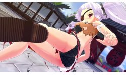 Senran Kagura Burst ReNewal 16 01 18 (2)