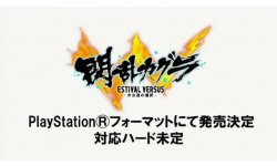 Senran Kagura Estival Versus 07.01.2014