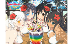 Senran Kagura Peach Beach Splash Affiche Japan Expo 2017