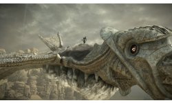 Shadow of the Colossus 09 12 2017 screenshot 1