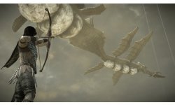 Shadow of the Colossus images (7)