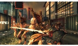 Shadow Warrior captures 3