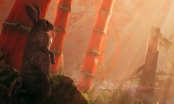 Shadow Warrior Teasing01