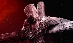 Shame Legacy Cult Edition