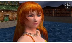 Shenmue I II vignette 31 07 2018