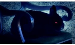 Shiin images teaser