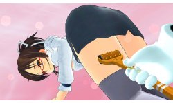 Shinobi Refle Senran Kagura images (6)