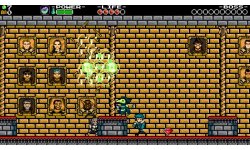 Shovel Knight Plague of Shadows head