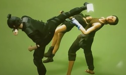 Sifu head