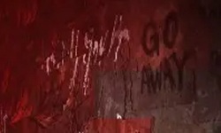 Silent Hill the Short Message