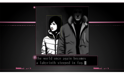 SilverCase00007
