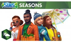 Sims 4 Saisons head