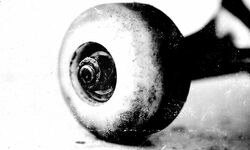 Skate image