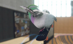 SkateBIRD