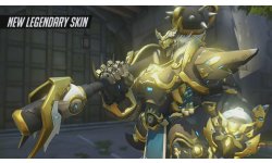 skin Overwatch Reinhardt Roi Croises Baldrich von Alder