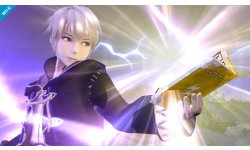 Smash Bros Robin