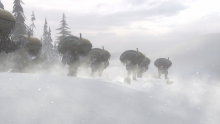 Snow Ostriches