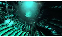 SOMA.