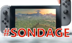 Sondage Nintendo Switch images (2)