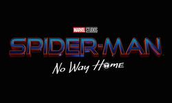 Spider Man No Way Home logo title 2021