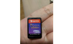 Spyro Reignited Trilogy images switch edition (3)