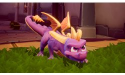 Spyro Reignited Trilogy Officiel Presse (1)