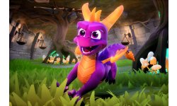 Spyro Reignited Trilogy test editions Switch impressions images (2)