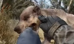 STALKER 2 Heart of Chornobyl — Bolts & Bullets Trailer