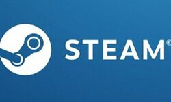 Steam