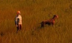 Stranded Alien Dawn Update 24 01 23