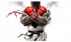 Street Fighter V 07 12 2014 artwork