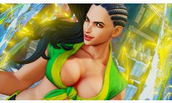 Street Fighter V (14)