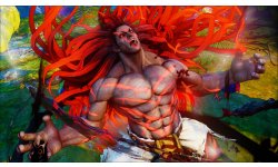 Street Fighter V (21)