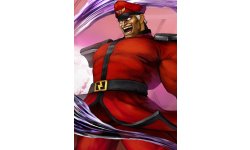 Street Fighter V (24)