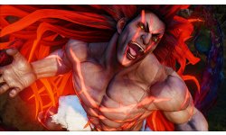 Street Fighter V (24)