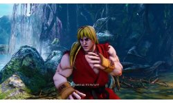 Street Fighter V (24)
