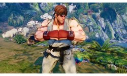 Street Fighter V (2)