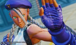 Street Fighter V (3)