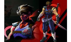 Strider test 24.02.2014