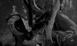 Succubus vignette 27 09 2021
