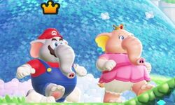 Super Mario Bros Wonder 23 31 08 2023