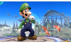 Super Smash Bros 07 08 2013 screenshot 5