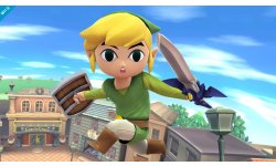 Super Smash Bros. 09.10.2013 (15)