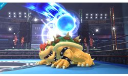 Super Smash Bros. 09.12.2013 (4)