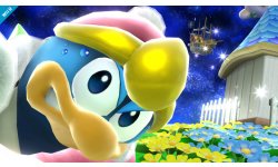 Super Smash Bros 10.01.2014 (3)