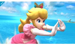 Super Smash Bros 12.09.2013 (3)