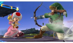 Super Smash Bros 23.12.2013 (6)