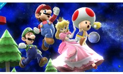 Super Smash Bros 25.11.2013 (7)