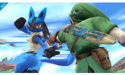 Super Smash Bros 31.01 (7)