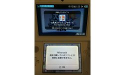 Super Smash bros 3DS miiverse internet 1